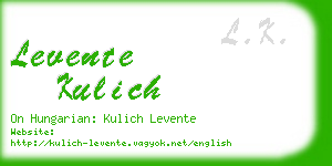 levente kulich business card